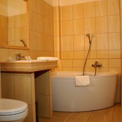Hotel Folwark Stara Winiarnia - łazienka - 4