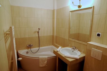 Hotel Folwark Stara Winiarnia - łazienka - 5