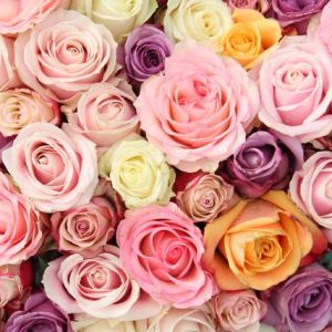 Róża na ślub i wesele - miłość, wierność, czystość, pożądanie, duma, pamięć
